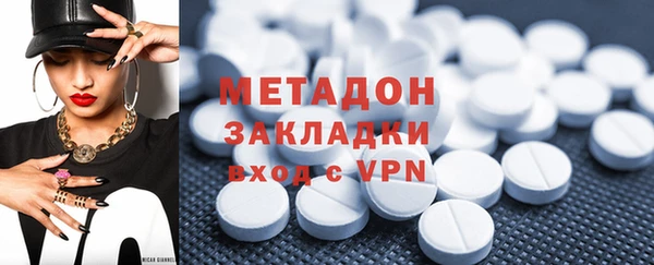 прущие грибы Абаза