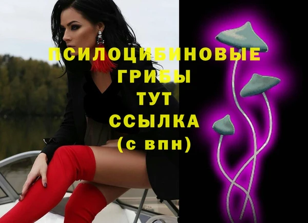 прущие грибы Абаза