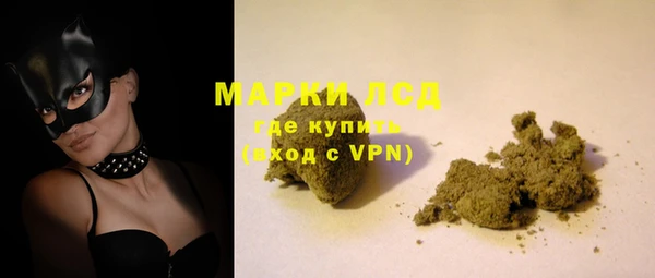 прущие грибы Абаза