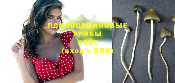 кокаин перу Михайлов