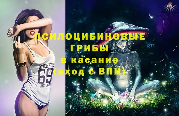 прущие грибы Абаза